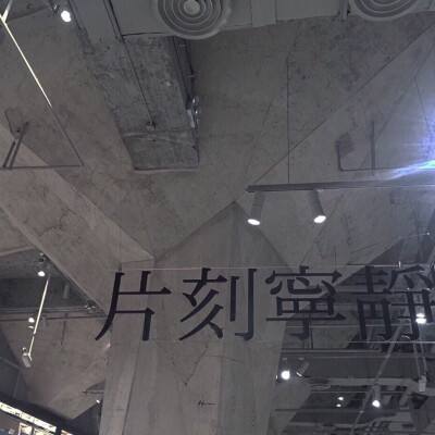 大江东｜沪上高校“摘金夺银”，为高水平科技自立自强勇攀高峰