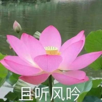 向波涛任清华大学党委常务副书记（正局级）